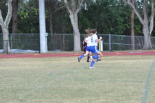 Enlarge photo 175