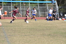 Enlarge photo 178