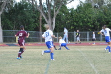 Enlarge photo 181