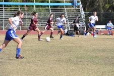 Enlarge photo 183