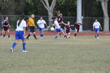 Enlarge photo 197