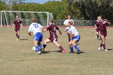 Enlarge photo 228