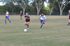 Enlarge photo 233