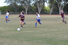Enlarge photo 235