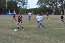 Enlarge photo 243