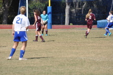 Enlarge photo 248