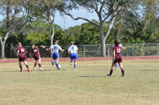 Enlarge photo 305