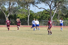 Enlarge photo 309