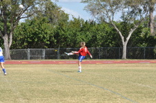 Enlarge photo 312