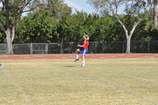 Enlarge photo 314