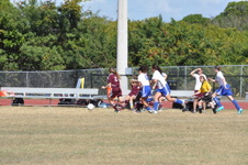 Enlarge photo 335