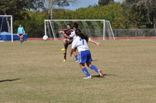 Enlarge photo 419
