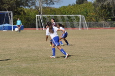 Enlarge photo 421
