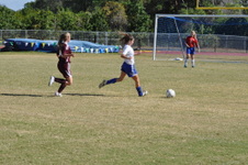 Enlarge photo 433