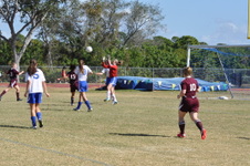 Enlarge photo 458