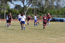 Enlarge photo 462