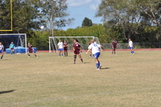 Enlarge photo 463