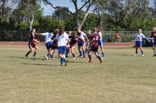 Enlarge photo 468