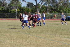 Enlarge photo 471