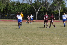 Enlarge photo 473