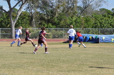Enlarge photo 495