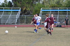Enlarge photo 534