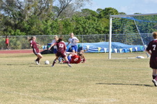 Enlarge photo 553