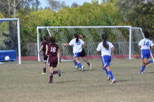 Enlarge photo 572