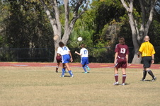 Enlarge photo 728