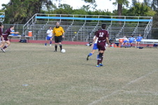 Enlarge photo 1173