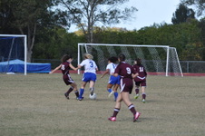 Enlarge photo 1182