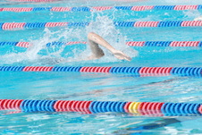 Enlarge photo 31
