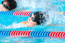 Enlarge photo 37