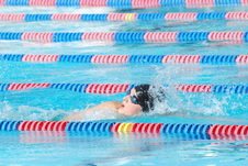 Enlarge photo 43
