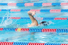 Enlarge photo 45