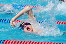 Enlarge photo 42