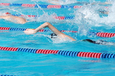 Enlarge photo 46