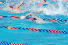 Enlarge photo 49