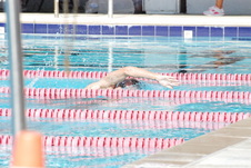 Enlarge photo 53