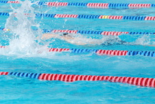 Enlarge photo 55