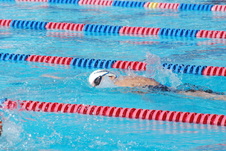 Enlarge photo 66