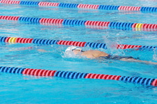 Enlarge photo 67