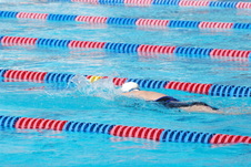 Enlarge photo 70