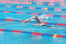 Enlarge photo 71
