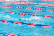 Enlarge photo 73