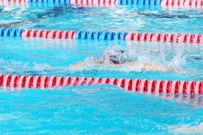 Enlarge photo 115