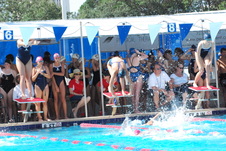 Enlarge photo 132