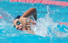 Enlarge photo 142
