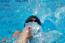 Enlarge photo 185