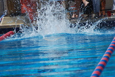 Enlarge photo 196